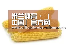 产品名称五