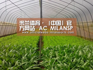 种植基地四