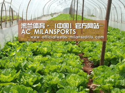 种植基地五
